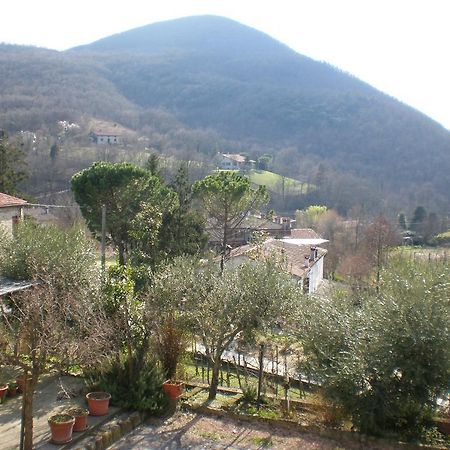 Locanda-Trattoria Al Rio Cinto Euganeo Dış mekan fotoğraf
