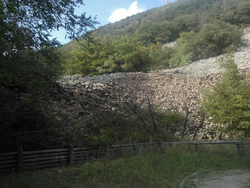 Locanda-Trattoria Al Rio Cinto Euganeo Dış mekan fotoğraf